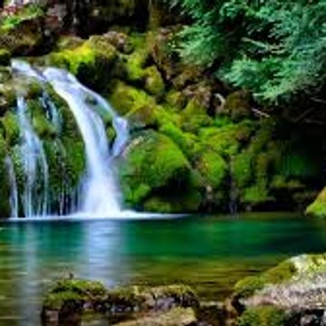 Funny & Entertainment