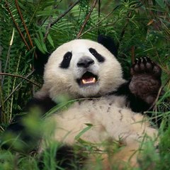 Shubham Get Someting new