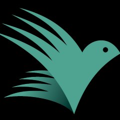 AllViral - Todo Viral