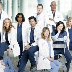 Grey's Anatomy Season 13 (English Subtitles)
