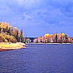 Pawila
