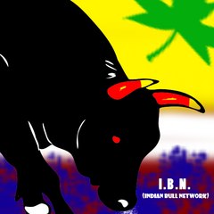 INDIAN BULL NETWORK