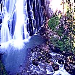Geyec