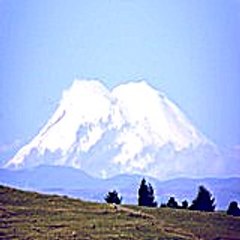Wozadibixi