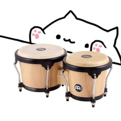 Bongo Cat Music   [✔]