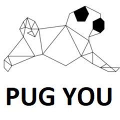 Pug You