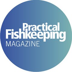 Practical Fishkeeping