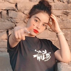 MS✔evol