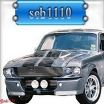 seb1110