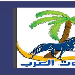 اغاني عرب
