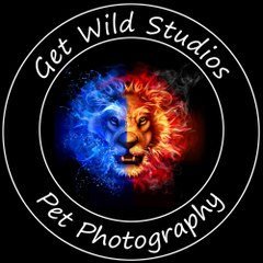 Get Wild Studios