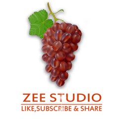 Zee Studio