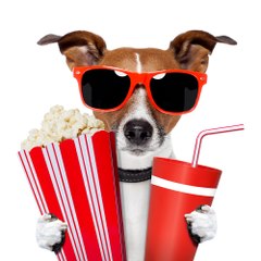 cine top