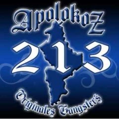 Apolokos 213 Apodaca Oficial