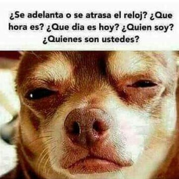 noveleras 8