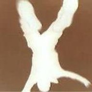 cesar calvo gonzalez