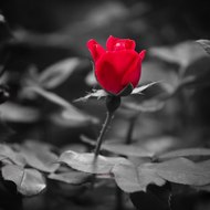 McclearnCatherine3041