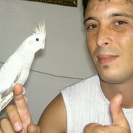 محمد ٦٢للمعلوميات Aitelimam