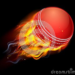 CRICKET MOMENT