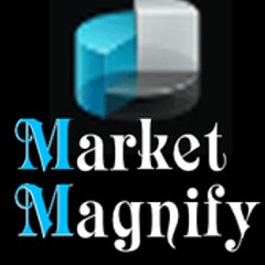 Stock Market