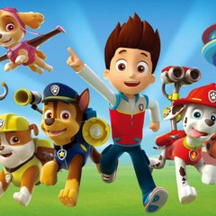 Paw PATROL