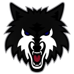 CaronlineTV