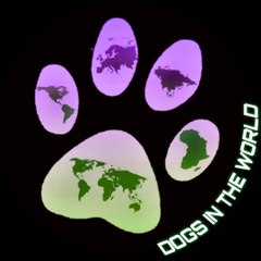 Dogs In The World