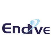 Endive Software