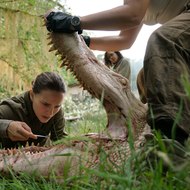 Annihilation Full Movie (2018)