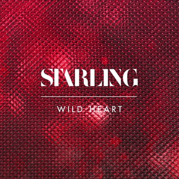 Dailymotion profile picture for @starling