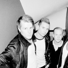 Royal Republic