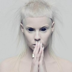 Die Antwoord