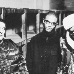Black Grape