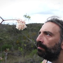 Stefano Bollani