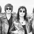 The Struts