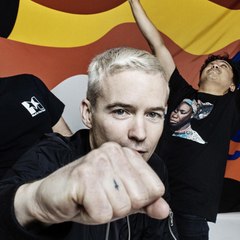 The Avalanches