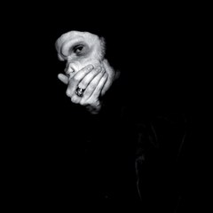Kid Noize