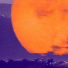 The Orb