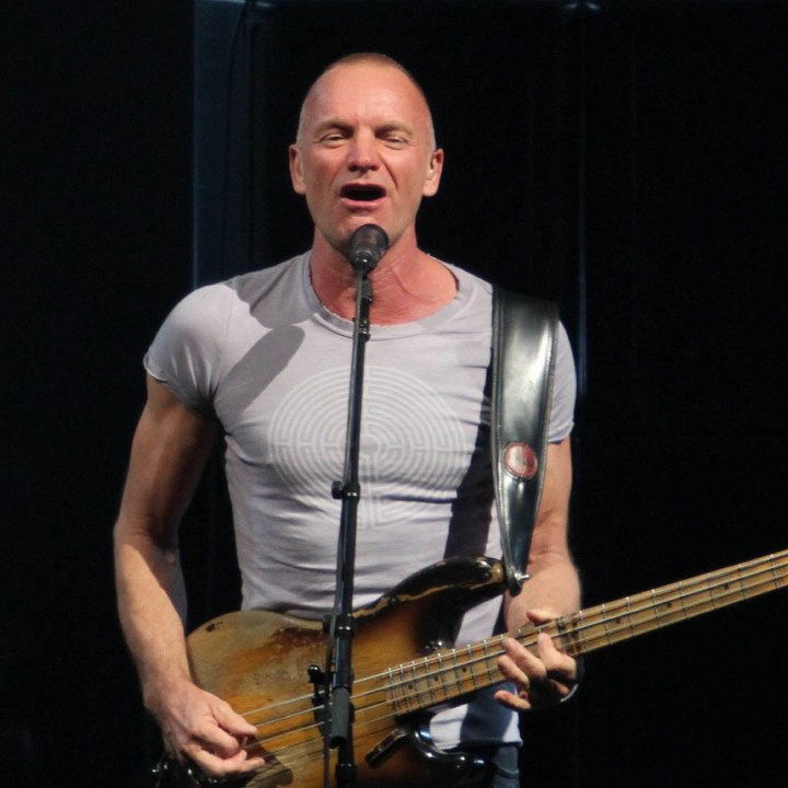 Dailymotion profile picture for @sting