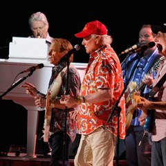 The Beach Boys
