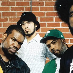 The Roots