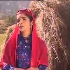 kashmir Time