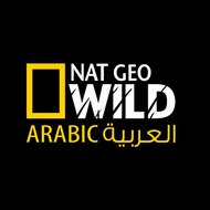 افلام وثائقية