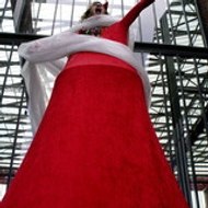 Nicolas DÉTOURNOYMENT