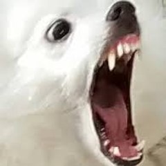 ICY_TOO_ COOL