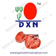 Dxn IOC Türkiye www.ganodermaturkiye.com