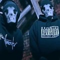 Verrückte Hunde