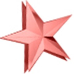 Great Star Tech International Web development