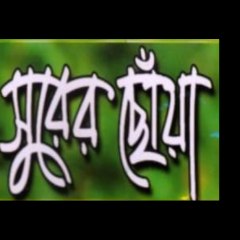 Surer Choya