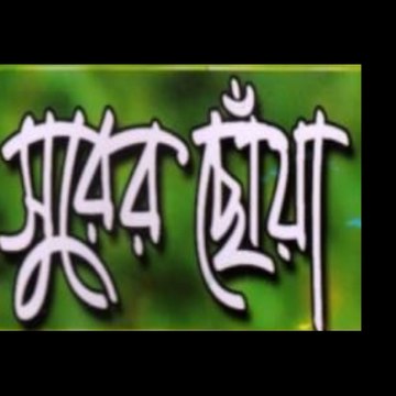 Surer Choya